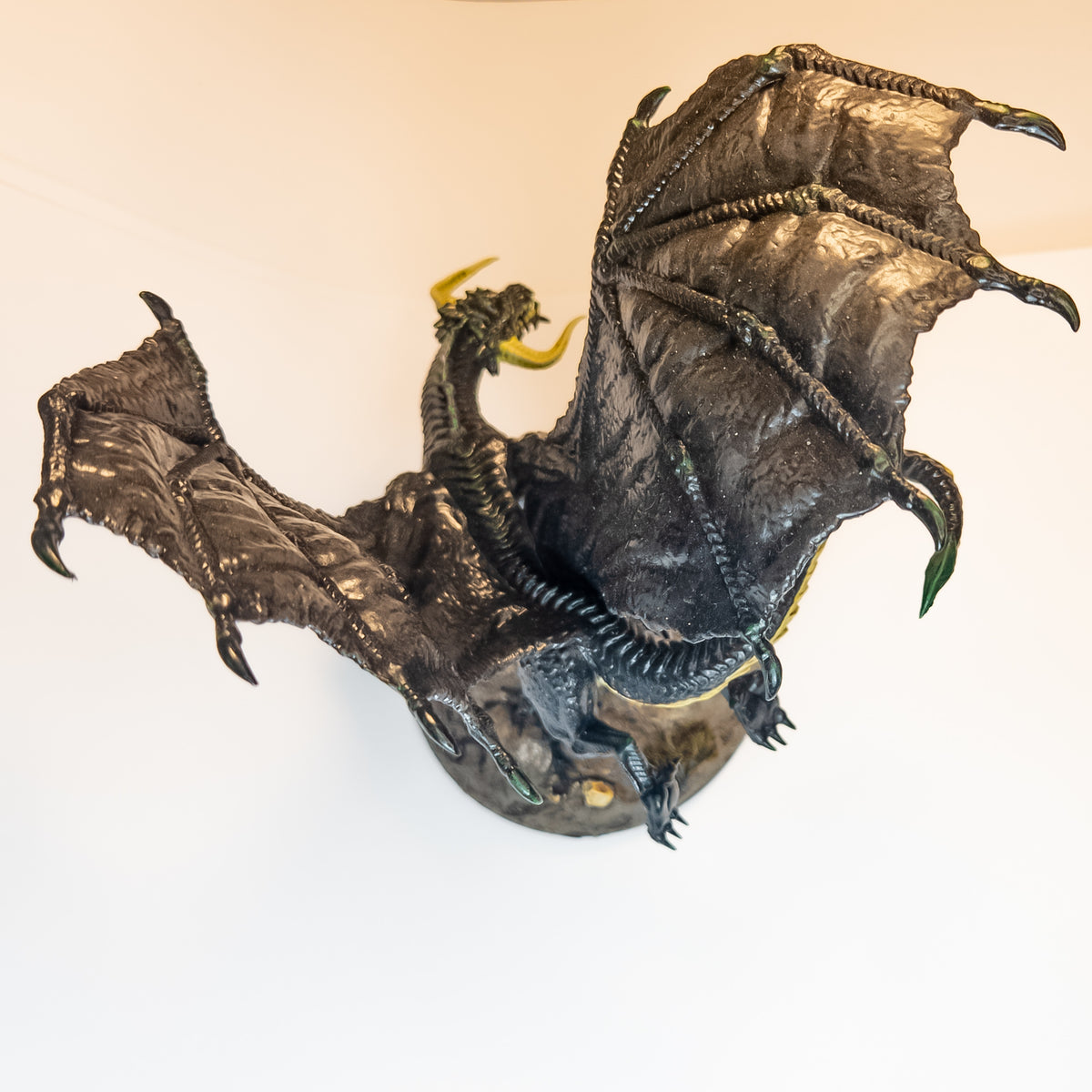 Young Black Dragon