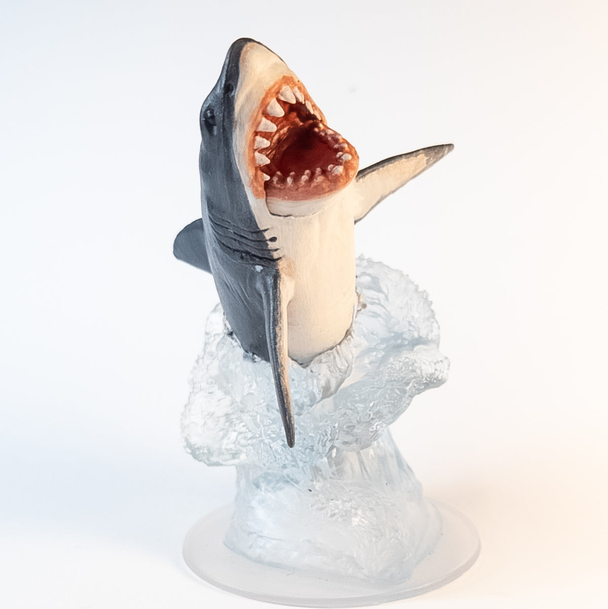 Shark
