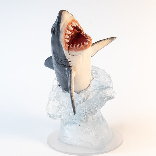 Shark