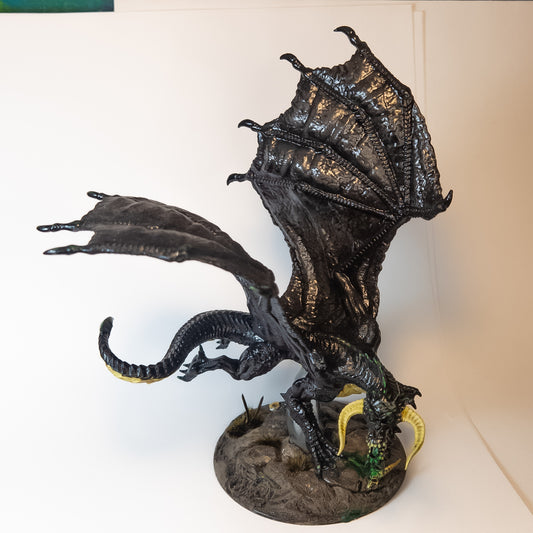Young Black Dragon