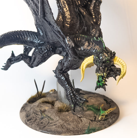 Young Black Dragon