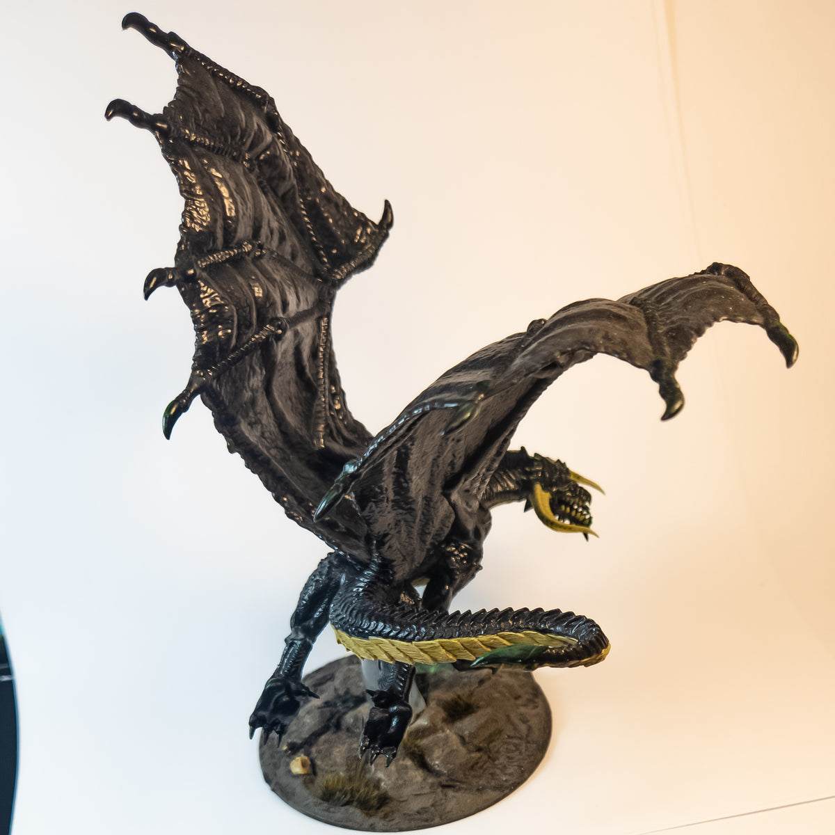 Young Black Dragon